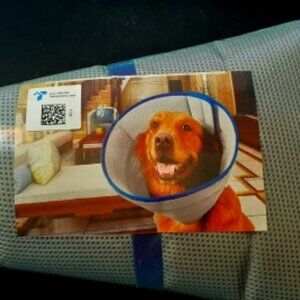 NEW!! Boomaker Extra Soft Dog Cone After Surgery Blue/Gray - Elizabethan Collar